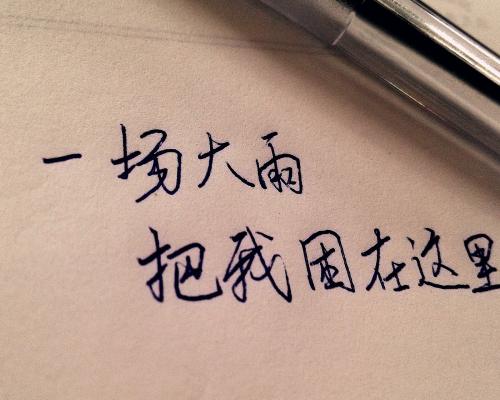 我爱他