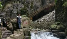 乘兴而行兴尽而返