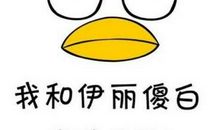 时间你可否听我说