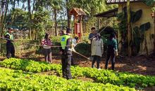 “种菜”很有趣