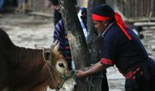 读《剽牛》有感