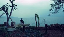 就这样静静地长大