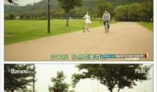 学会原谅学会爱读后感