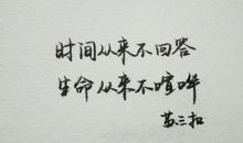 生命从来不寂寞读后感