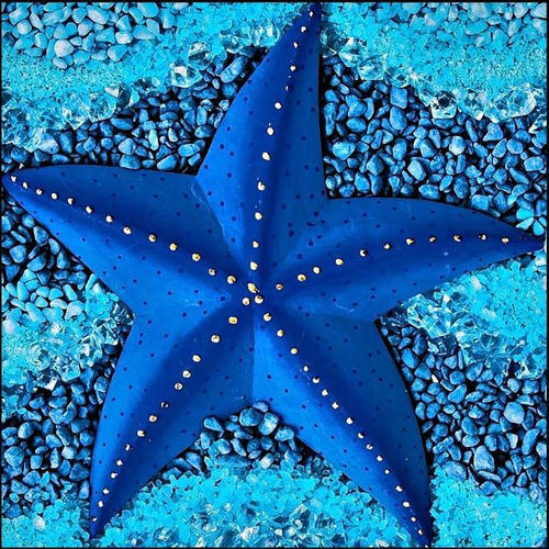 海星