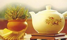 哲理故事：猫和小鸡_400字