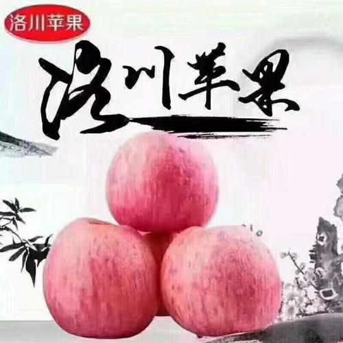 我爱家乡的特产苹果