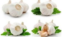 这明明是大蒜呀