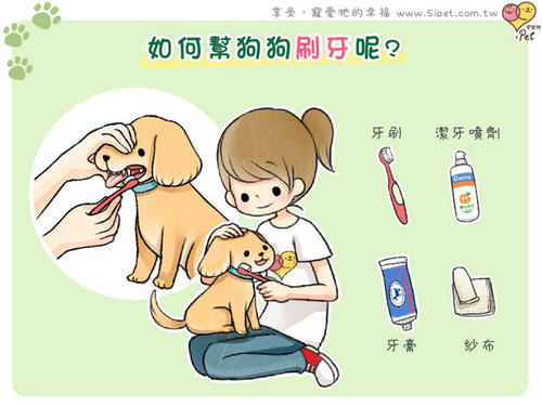 第一次刷牙