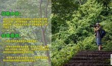 我以自然之美为友