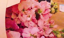 就这样在月辉下长大