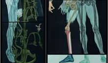 我希望的交通工具