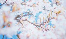 2020年的第一场春雨