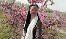 风袭落叶终归根