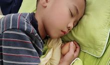 有趣的“护蛋”行动