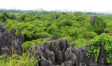 风景这边独美作文450字