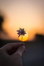 如果我会成为太阳
