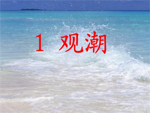 看着梦中的浪潮