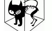 当真理遭遇权威