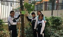 春天我们一起去植树