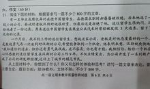 我的中国年作文800字