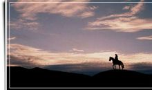 寂寞也是一种美