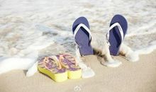 伙伴我因有你而幸福