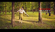 在那秘密的松树林里