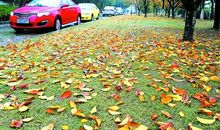 风吹·雨落·爱涌