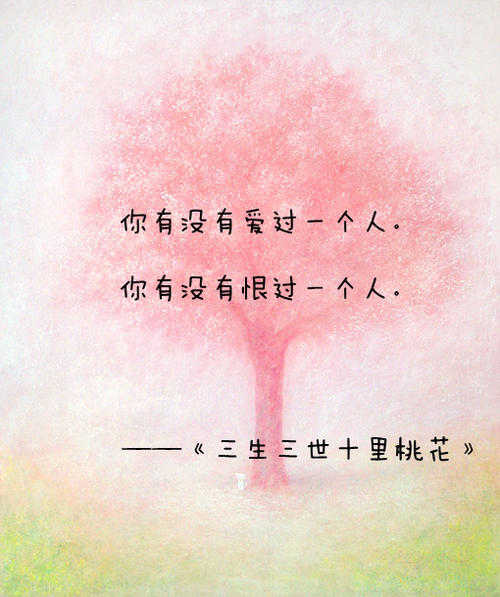 书香