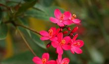 世界虽大但无需看遍