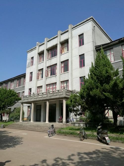青年任务