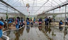 难忘的九凤谷春游