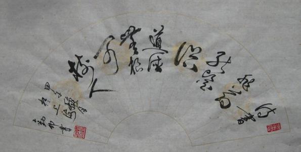 食物可以治愈饥饿，诗歌可以治愈风俗