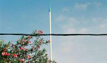 回忆路灯“先生”