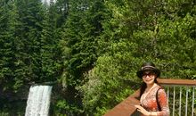 我与那树再见时