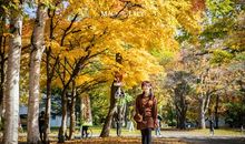 秋天来到了校园