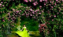 致满含温情的你