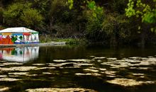 一次与众不同的英语节