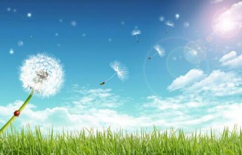 触动心弦的声音