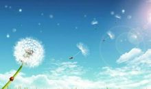 触动心弦的声音