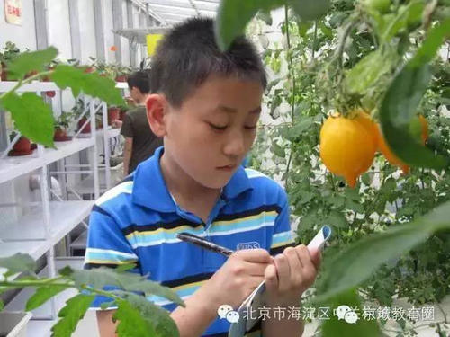 藏在劳动中的爱