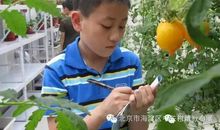 藏在劳动里的爱