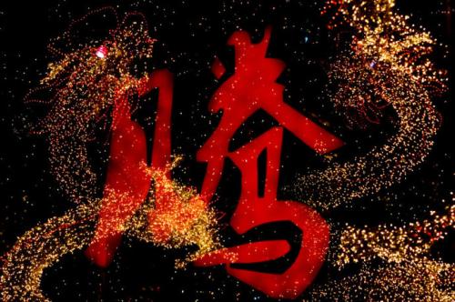 o龙
