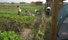 生活应勤劳精彩