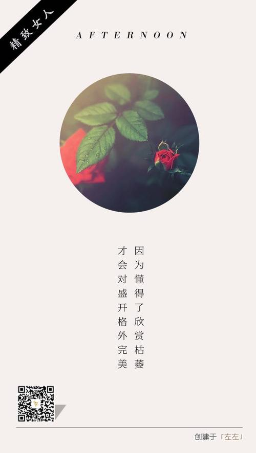遗憾也是一种美