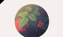 遗憾也是一种美