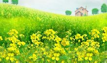 没有出游的春游