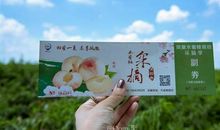 春天的第一张名片