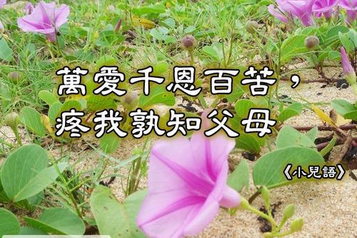 我知道我的父母